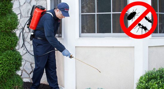 Sarıyahşi Gümüşkurt İlaçlama böcek ilaçlama ve haşere kontrolü — ilaclama-tr.com